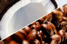 Kokos Eierlikör mit Espresso und Milchschaum